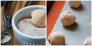 snickerdoodle dough snickerdoodle dough