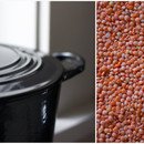 dried red lentils