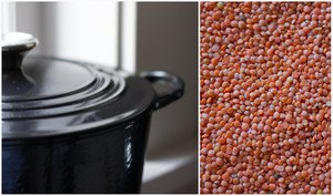 Dried red lentils dried red lentils