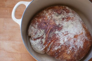 Jim Lahey's Whole Wheat Bread