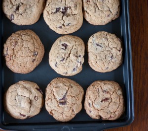 pan of cookies pan of cookies