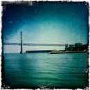 The Bay Bridge The Bay Bridge