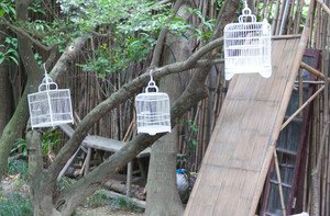 Bird Cages Bird Cages