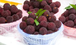 lychee