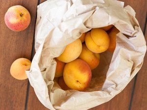 bag of apricots bag of apricots