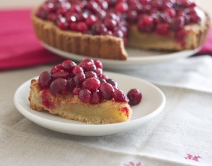 cranberry tart slice