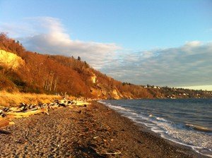 Discovery Park