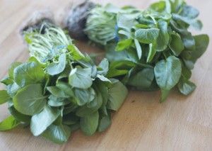 watercress