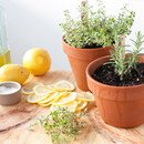 Lemon, Herb, and Sea Salt Foccacia