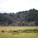 20130104_BlogOregonCoast-107