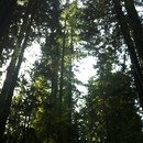 20130104_BlogOregonCoast-111