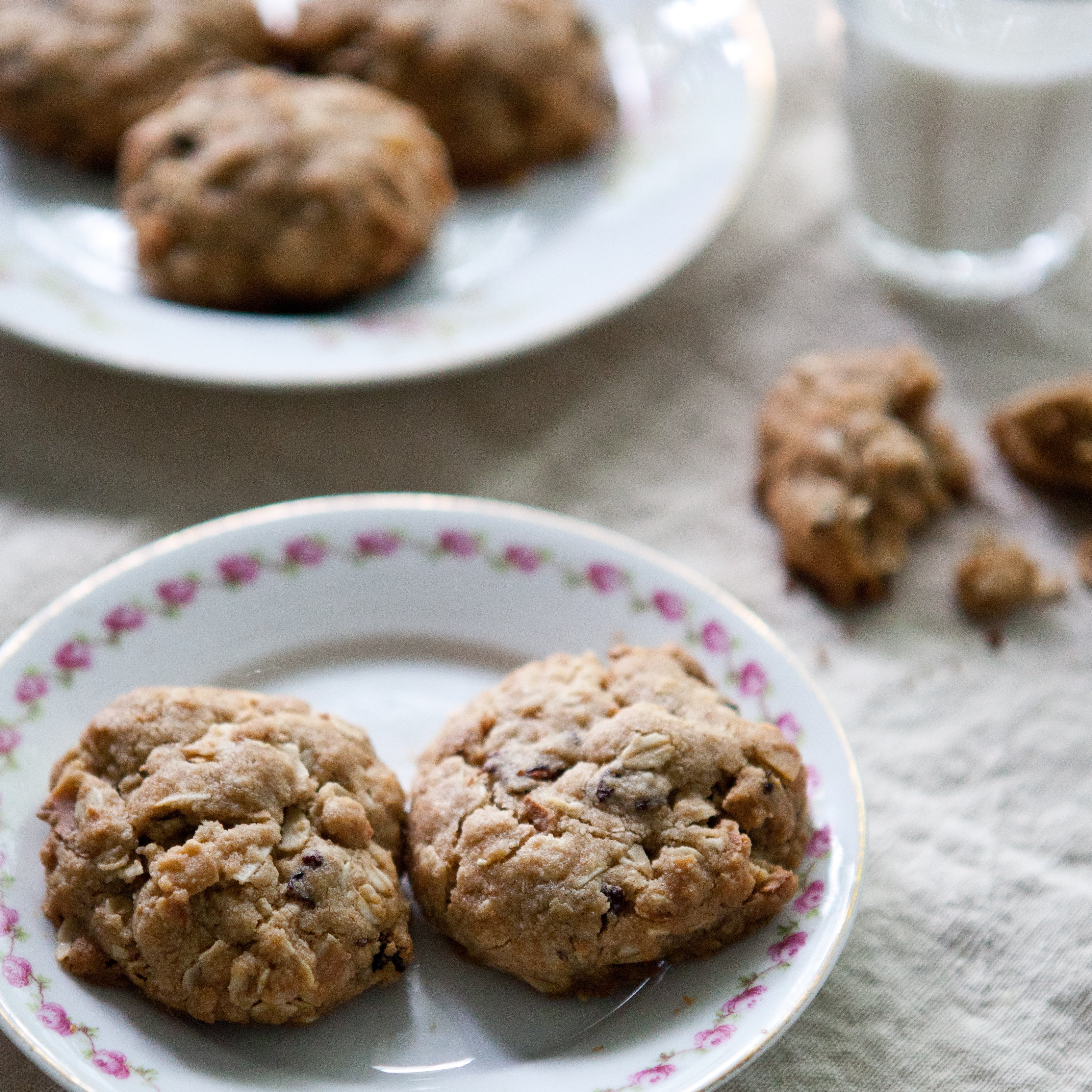 Coconut Oatmeal Cookies with Dried Cherries