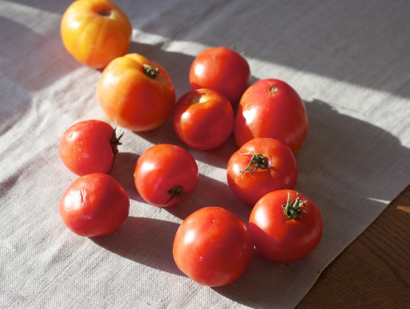 october tomatoes