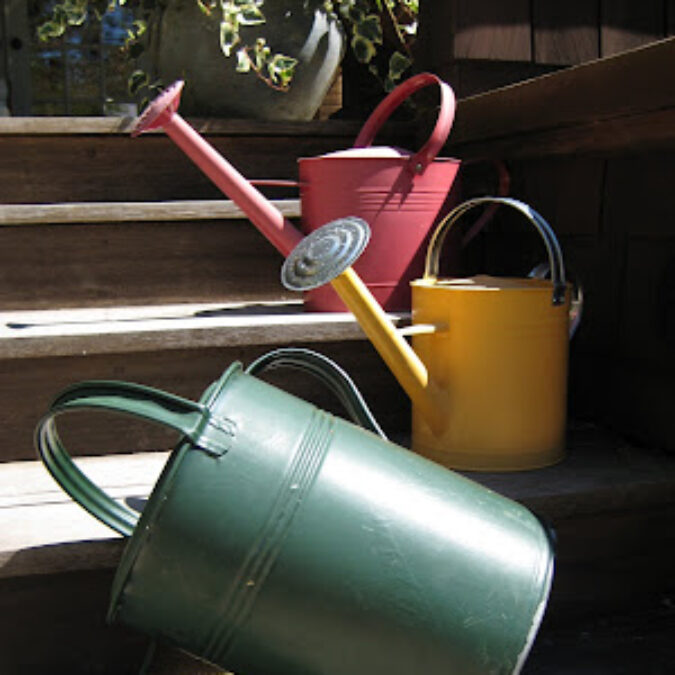 Strawberry jam to ease a heat wave