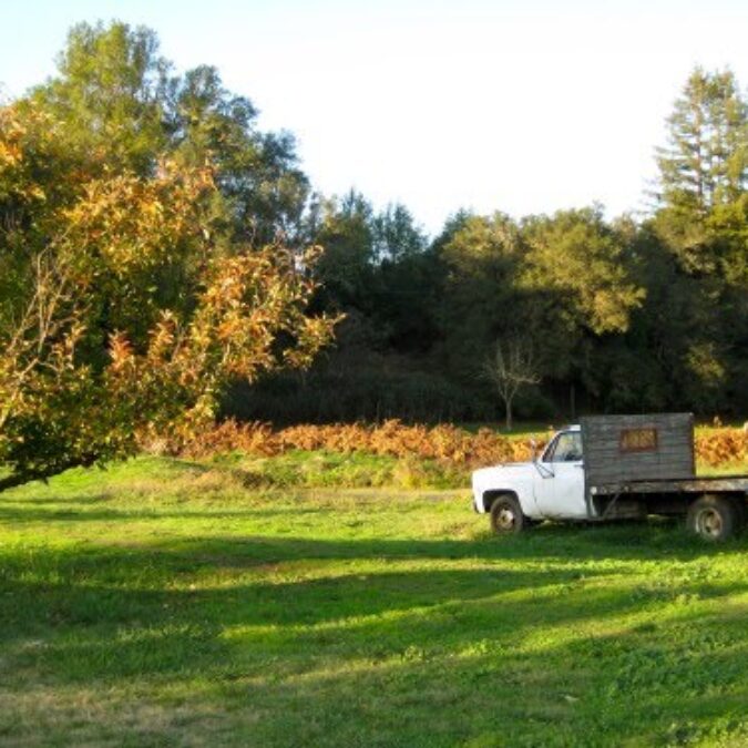 A Day Trip to Boonville